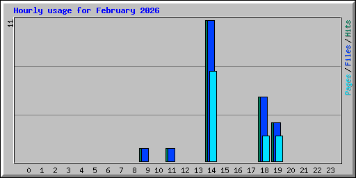 Hourly usage for February 2026