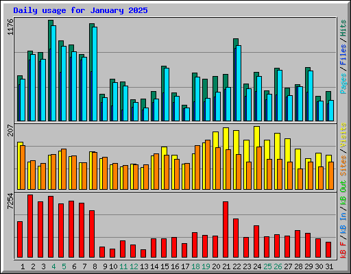 Daily usage for January 2025