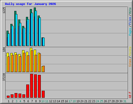 Daily usage for January 2026