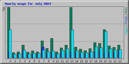 Hourly usage for July 2024