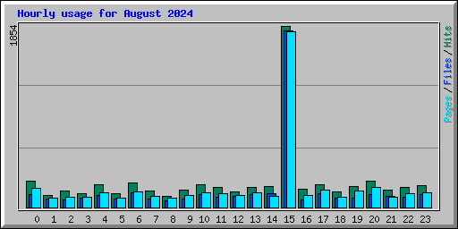 Hourly usage for August 2024