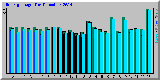 Hourly usage for December 2024