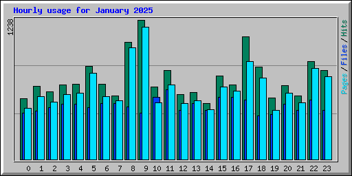 Hourly usage for January 2025