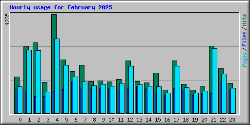 Hourly usage for February 2025