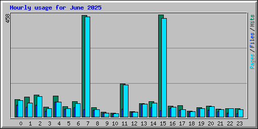 Hourly usage for June 2025