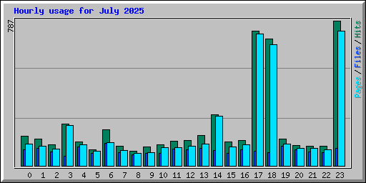 Hourly usage for July 2025
