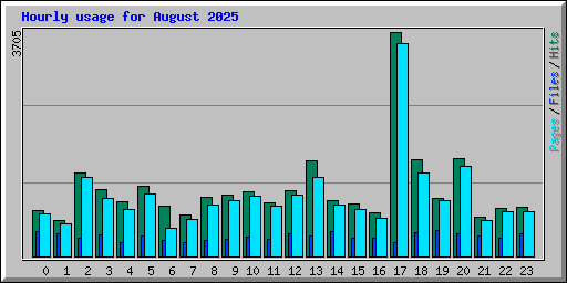 Hourly usage for August 2025