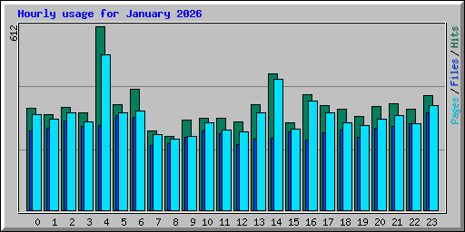 Hourly usage for January 2026