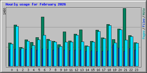Hourly usage for February 2026