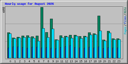 Hourly usage for August 2026