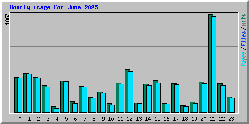 Hourly usage for June 2025