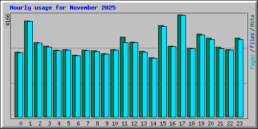 Hourly usage for November 2025