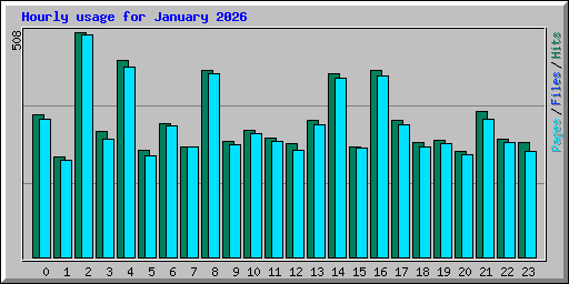 Hourly usage for January 2026