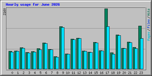 Hourly usage for June 2026